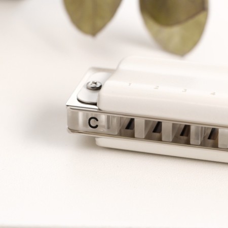 Music Life T008L Clinkle C Diatonic, 10 holes, with a case-3