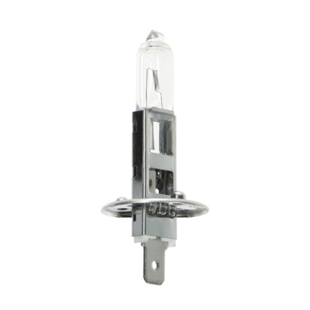 Car lamp AVS VEGAS, H1, 12 V, 55 W, blister-1
