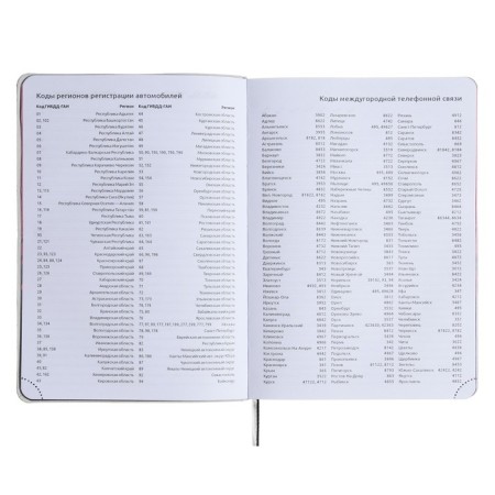 Leduced Diary A5, 160 sheets, Devente.note.realist, soft cover of artificial leather, color slice, Bullpower 70 g/m2, black-6