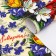 Glossy packaging "tulips", 70 × 100 cm, 1 pc.