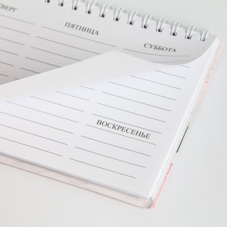 Planing rectangular thin cardboard "Happy Teacher", 50 sheets-4