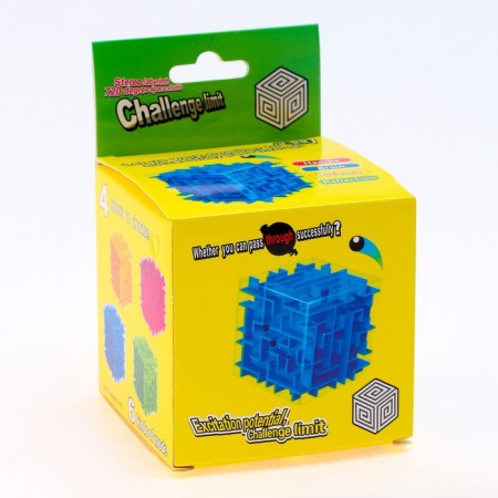 Labyrinth puzzle, blue color-2