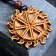 Kolovrat's amulet Cedar, brings good luck and fertility