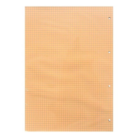 Smooth block for a notebook on A4 rings, 120 sheets in a cage, tinted: 4 colors of 30 sheets-2