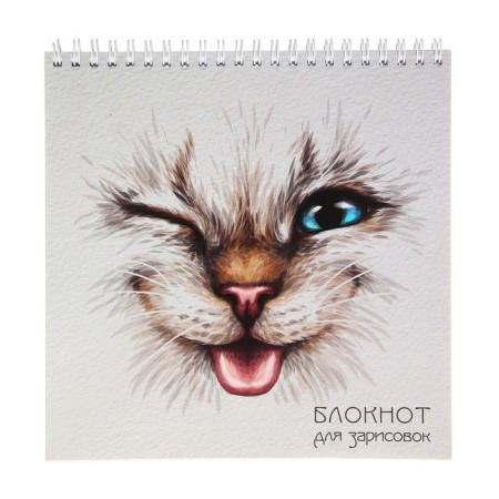 Sketchbook 190 x 190 mm, 60 sheets on the crest "Cat", covered cartoon, hard substrate, block 100 g/m²