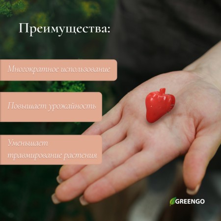 Clips for plants "strawberries", set of 10 pcs., Mix, Greengo-1