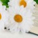 Artificial flowers "large daisies" three buds, 13x57 cm, white