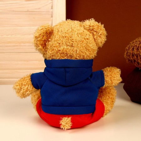 Soft toy "Bear in a blouse", color mix-5