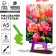 Drawing pastel with an easel "Colorful peonies", a set for creativity