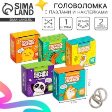 Metal puzzle with puzzles and stickers 
