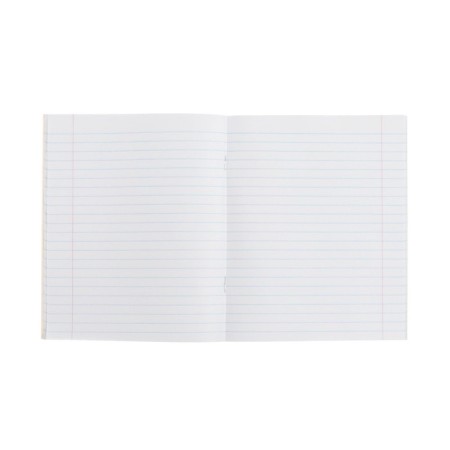 Subject subject calligrata "board", 48 sheets in the line Russian, with reference material, covered cardboard, block offset-2