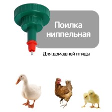 Drinking drinker for poultry, under a bottle of 0.5 and 5 l, color mix