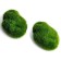 The basis for creativity "Stone with Moss" set of 2 pcs., Size 1 pc. - 7 × 2 × 4.5 cm