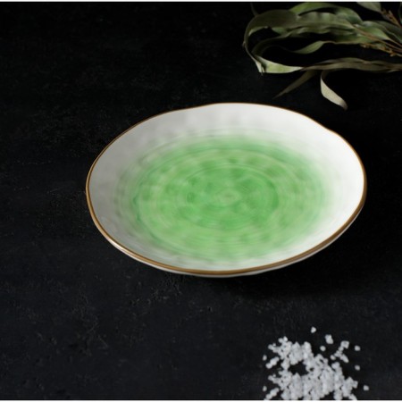 Porcelain shade "Cosmos", d = 21.2 cm, green color-6