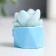 Polystone souvenir "Cactus in a pot" MIX 4x2.5x3 cm