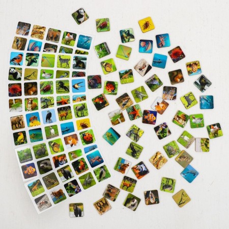 Sorter "Animal World"-3
