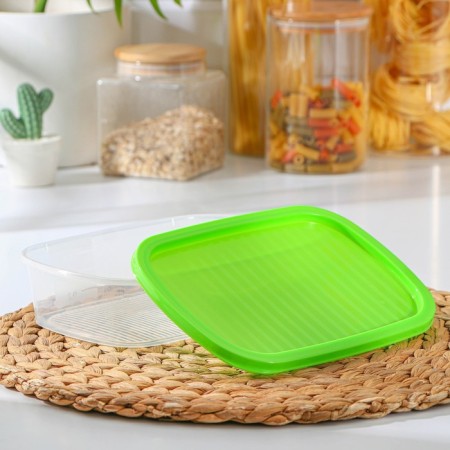 A set of food containers "Biofresh", 3 pcs: 1 l, 1.6 l, 2.3 l, color mix-2