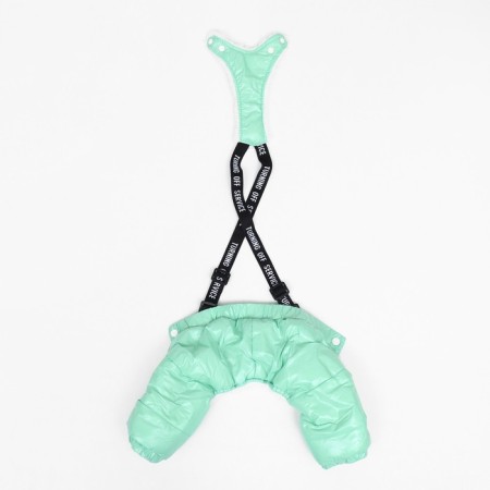 Complex-stroke for dogs, size XS (DS 26, from 28 cm), mint-8