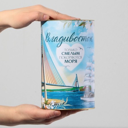 Копилка XXL «Владивосток», 20 х 12,5 см-4