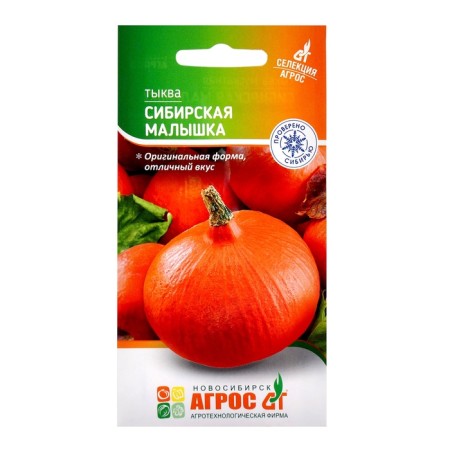 Siberian Baby pumpkin seeds 3pcs* selection agros