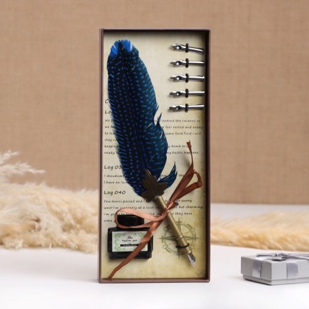 Gift set 3B1 "Herbi": Pit pen, ink, tips, blue-1