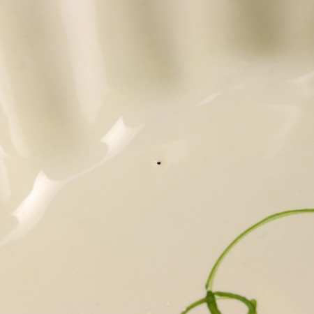 Baking capacity "Round wave" 2l / 25x8.5cm, peas-2