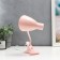 Highway lamp 16700/1PK E27 15W Direct pink Risalux