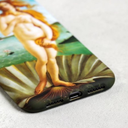 Case for the phone iPhone 11 "Venus", 7.6 x 15.1 cm-2