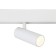 LED LED for the Magnetic Ambrella Track System GL3819, 10W, LED, white color.