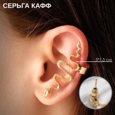 Earring 