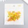Decor for creativity plastic "forget -me -not Greens, yellow, beige" set 70 pcs mix 0.8x0.8 cm