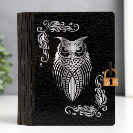 Owl Book-Kniga Brush 14x12x5 cm