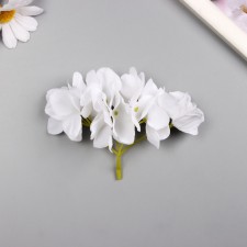 A bud on the leg for decoration 
