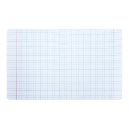 Notebook of 12 sheets in the Harry Potter cage, covered cardboard, offset block 65, 5 species mix-4