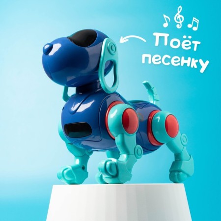 IQ DOG robot pillbox, sings, works, works from batteries, blue color-5