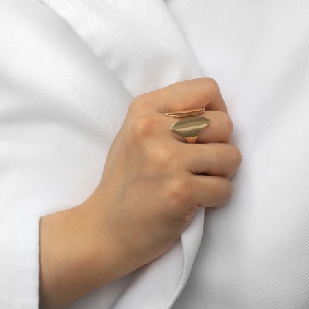 Ring Metal "Trend" two petals, color gold, size 18-3