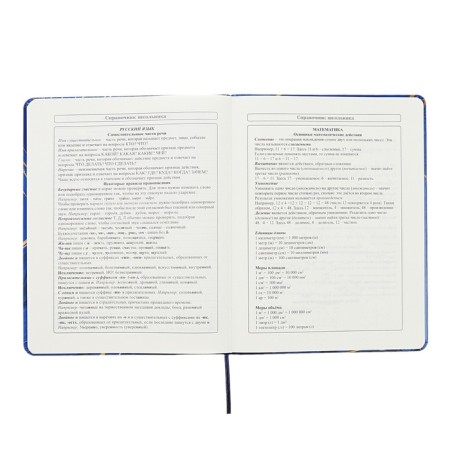 Universal diary for grades 1-11 Perfect, hard cover, artificial leather, foil embossing, tinted block, 48 sheets-9