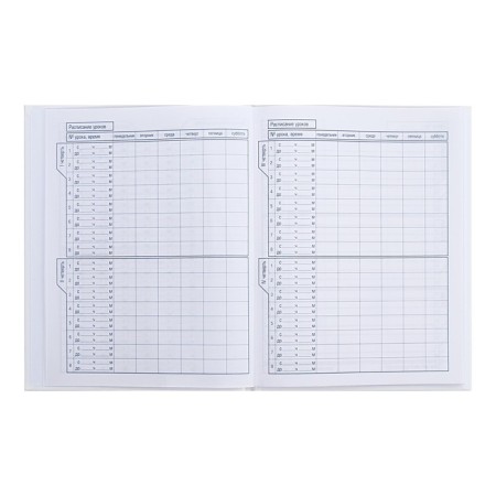 Universal diary for grades 1-11, “what?”, Firm cover, glossy lamination, 40 sheets-5