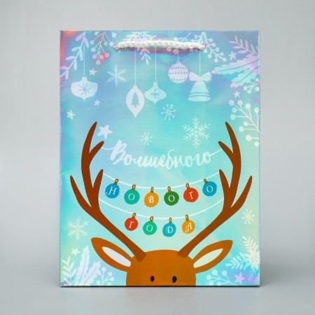 Holographic package "Magic", MS 18 x 23 x 10 cm, New Year-1
