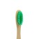 Bamboo toothbrush hard in the box, green