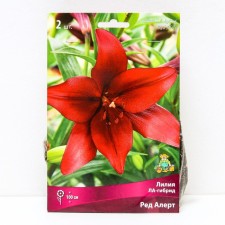 Lilia Lilia La-gibids Red Alert, 14/16 rr, 2 pcs. 100 h (cm), autumn 2024