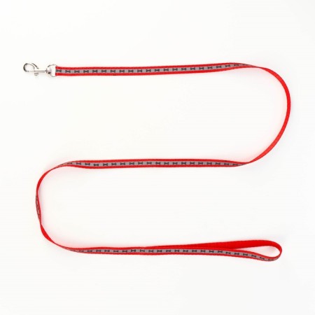 The reflective “bones” set, a collar of 120 x 1 cm, Osh 26-42 cm, fire 26-42 cm, red-6