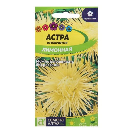 Seeds of Flowers Astra "needle lemon", sed. ALT, c/p, 0.3 g