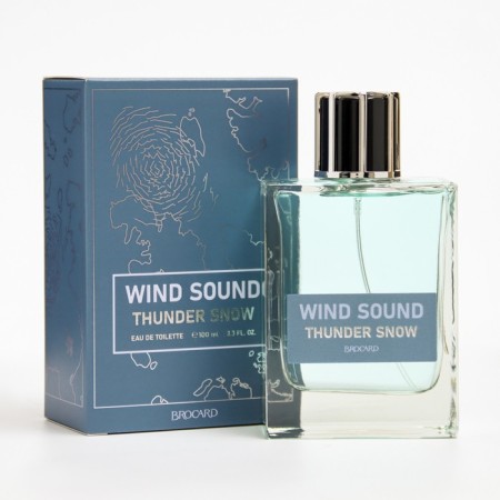 Toilet water male "Sound of the Wind", "Snow Thunderstorm", 100 ml-3