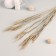 Sukhotzet decor "wheat" (set 10 pcs) 60 cm, beige