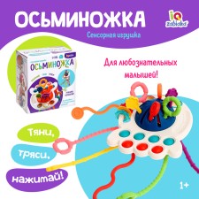 Developing toy 