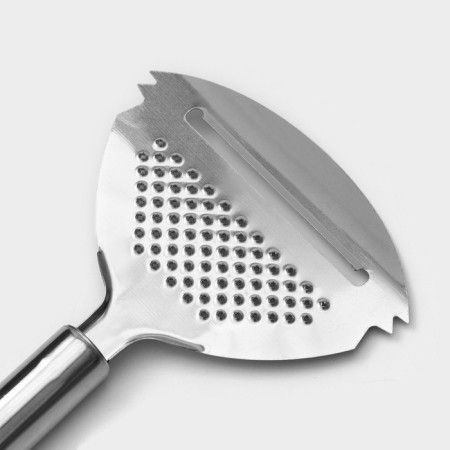 Metal -dilaped-2