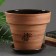 Pot Flower East 13 L