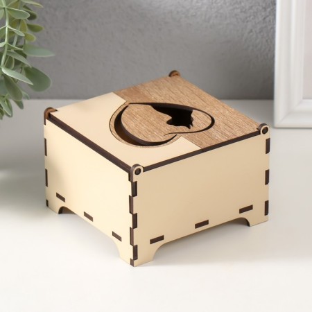 Combined box "Cat in heart" 10.5x10x7 cm-4
