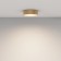 Technical C032CL-24K-RD-MG, LED, 24 W, 220x220x60 mm, 1760 lm, 4000K, 2835, matte gold, matte gold
